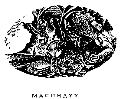 Рисунок 25. Масиндуу (Anura: Rana catesbiana mutatus mutatus)